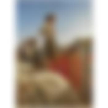 Gli Scavi Di Pompei (preview)