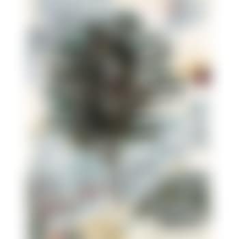 Albero (preview)