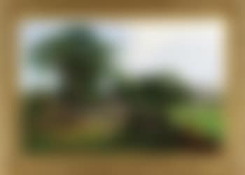 A summer's rest (preview)