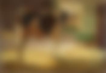 Ochse im Akademiestall (preview)