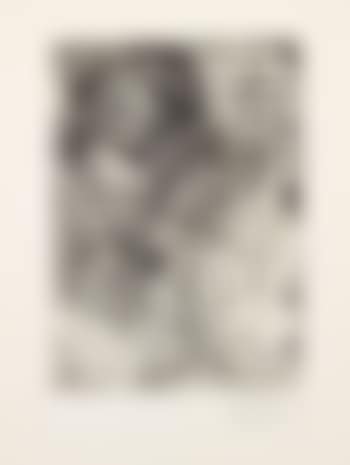 Rembrandt au Turban, aux Fourrures et L'Oeil d elephant (preview)