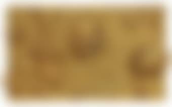 Relief éponge or (RE 47 II) (preview)