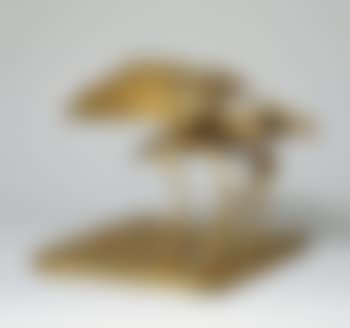 La mouche (preview)