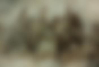 Trois militaires à cheval vus de dos (preview)
