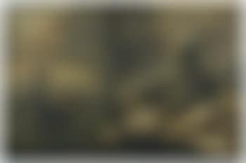 Paysage enneigé (preview)