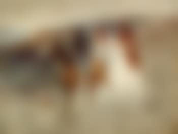 Ghost riders (preview)