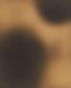Peinture de feu (F65) (preview)