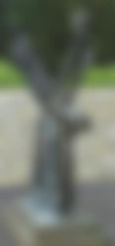 Flon Flon (preview)