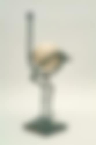 L'autriche (preview)