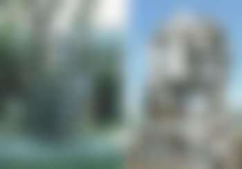 Plante Grasse (preview)