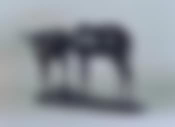 Petites antilopes (preview)