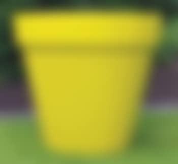 Pot jaune (preview)