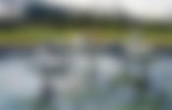 Fontaine cinq pieds quinze cylindres (preview)