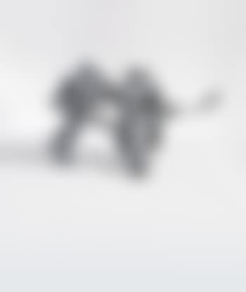 Fast particles (preview)