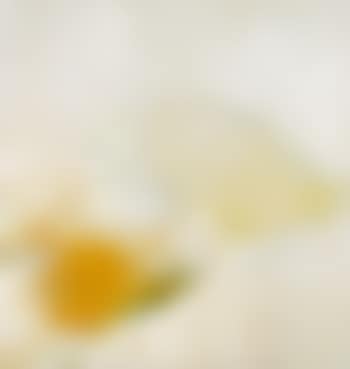 Ohne Titl (preview)