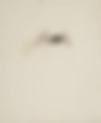 Ohne Titel (preview)