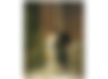 The proposal (preview)