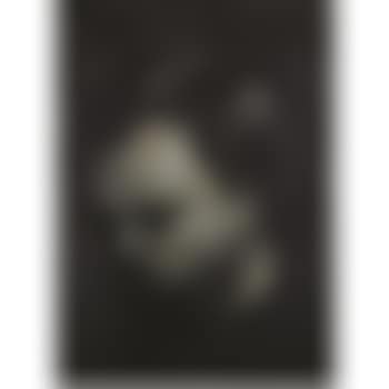 Head Of Leon Kossoff (preview)