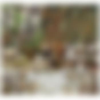 Bob's House (preview)