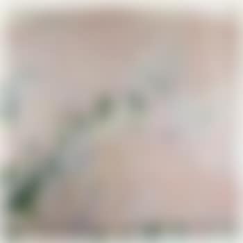 Saint Anton (Flat Light) (preview)