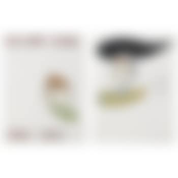 (I) Untitled (2000 Light Years From Home); (II) Untitled (Rain Cloud) (preview)
