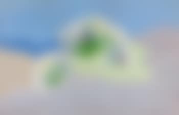Fleur-Coquillage-Muschelblume (preview)