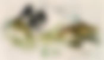 Wie eine Landschaft (preview)