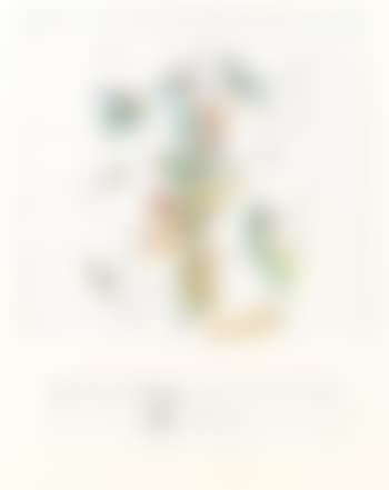 Ohne Titel (preview)