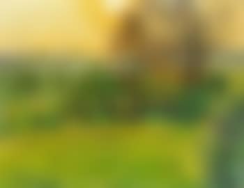 Blick uber die Rheinuferwiesen bei Wittlaer (preview)