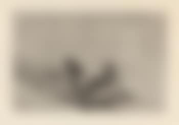 El diestrísimo estudiante de Falces, embozado burla al toro con sus quiebros [Harr. 217/III/1 (v. 7).] (preview)