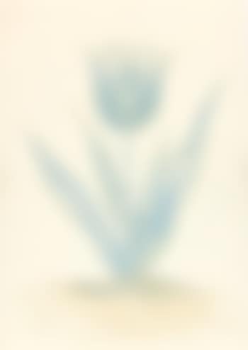 Ohne Titel (preview)