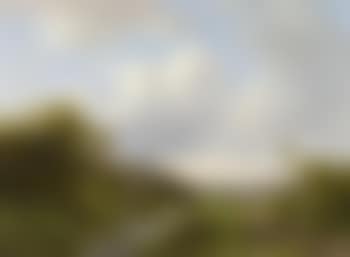 River landscape in the summer (preview)