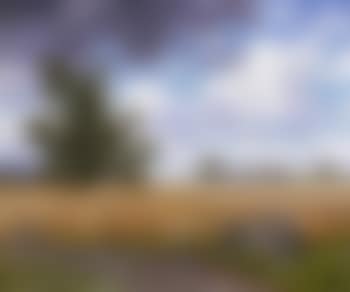 Broad summer landscape (preview)