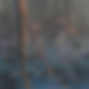 Reflections, Barmah forest (preview)