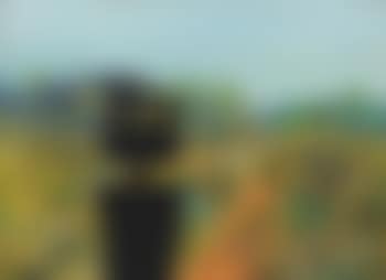 First-class Marksman (preview)