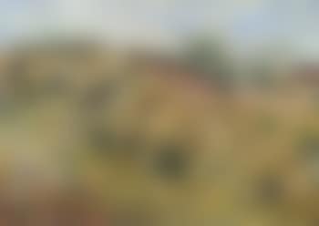 The cornfield (preview)