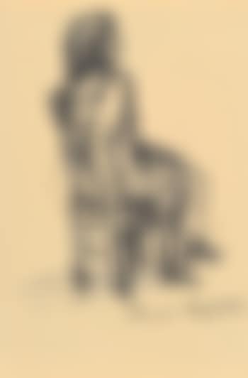 Female studies (preview)