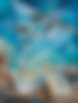 Volo condiviso (preview)