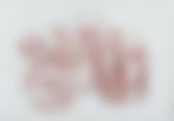 Bozzetto (preview)