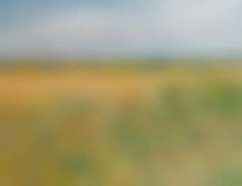 Walberswick (preview)