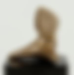 Homme vu par une fleur (preview)