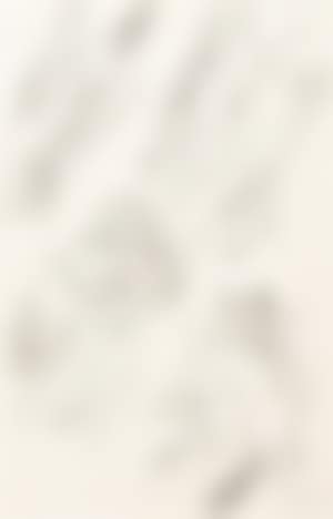 Vier figuren (preview)