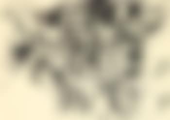 Figure (preview)