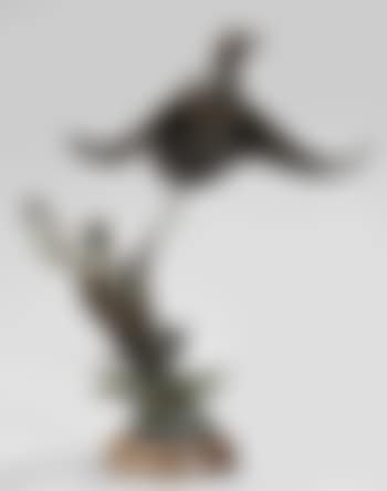 Green-winged teal pair (preview)