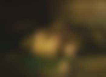 Nature morte aux asperges (preview)
