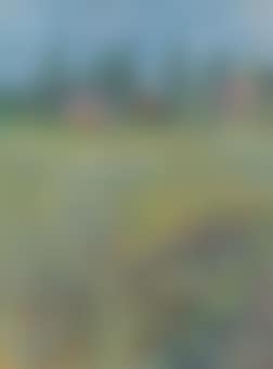 Paysage des environs de Helsinki (preview)