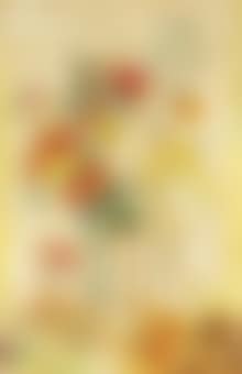 Les Poppies (preview)