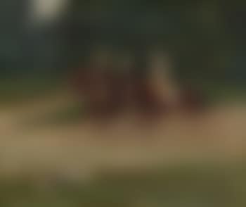 Reiter im Park (preview)