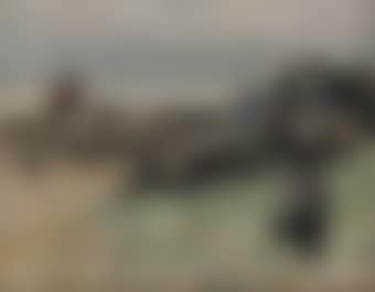 On the beach (preview)
