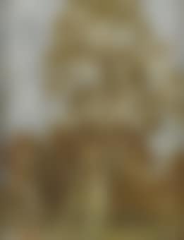 Berken studie: birches in a landscape (preview)
